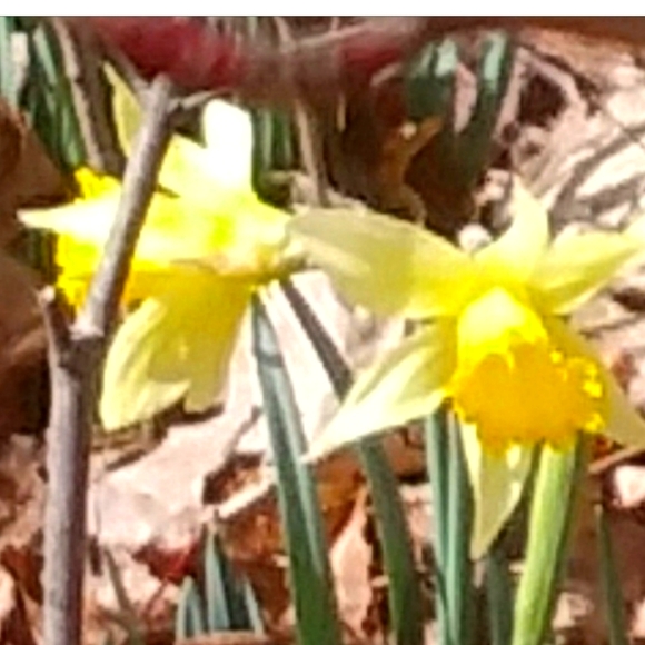 HAPPY SPRING 2023 - Picture 1 of 1